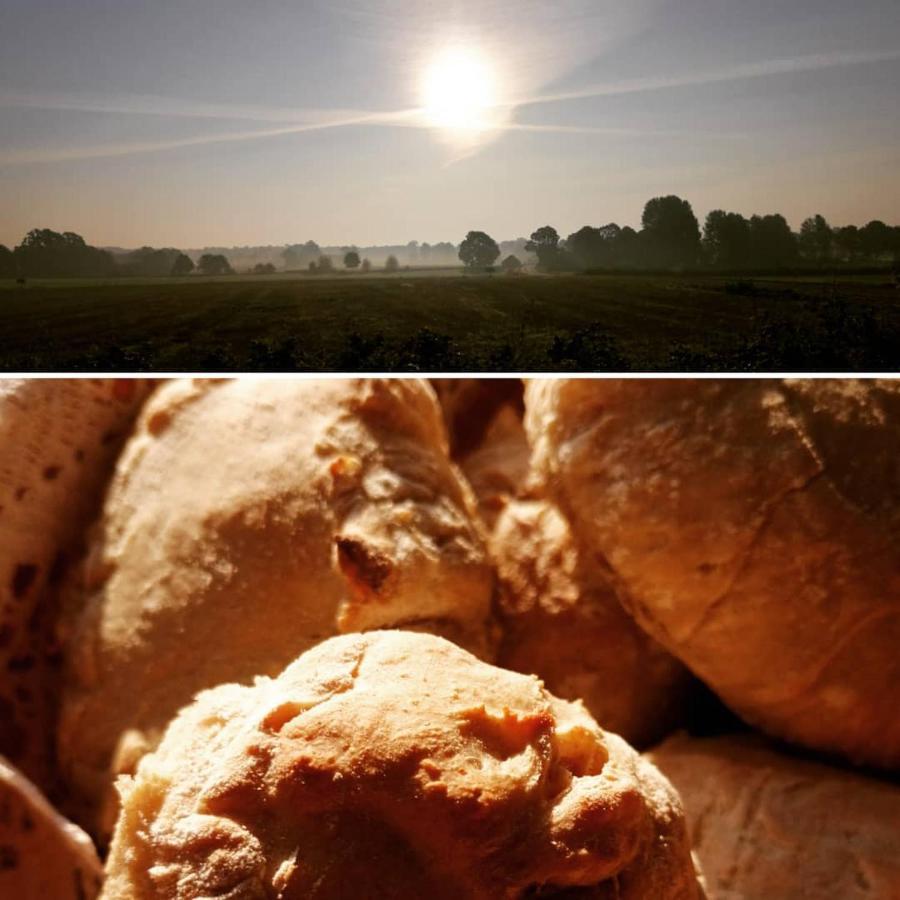 Bed and Breakfast Arroeds Bostaelle Tollarp Экстерьер фото